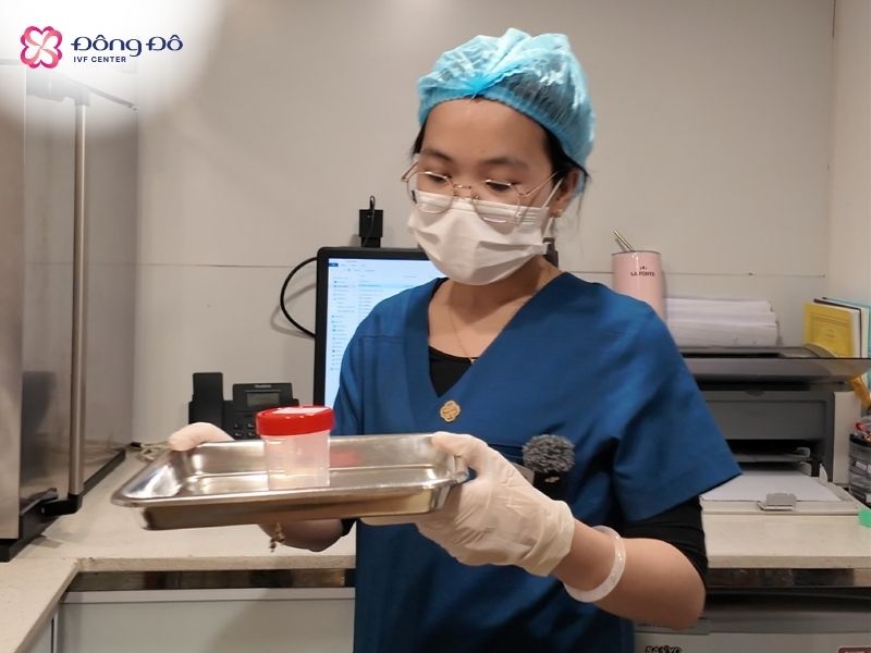 Xét nghiệm tinh dịch đồ kiểm tra số lượng tinh trùng, độ di động, và hình thái tinh trùng
