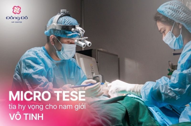 Kỹ thuật MicroTESE giúp tìm tinh trùng cho những trường hợp vô tinh do không tắc nghẽn