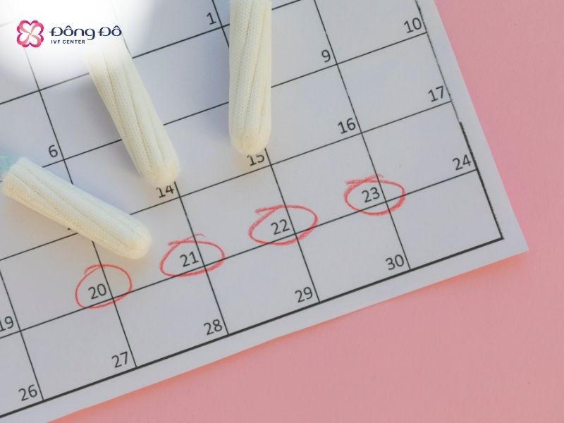 Chọn địa chỉ khám vô sinh không đủ chuyên môn sẽ khiến gia đình đợi thêm 1 chu kỳ nữa mới có thể thăm khám tại cơ sở mới do đã bỏ lỡ các mốc xét nghiệm quan trọng