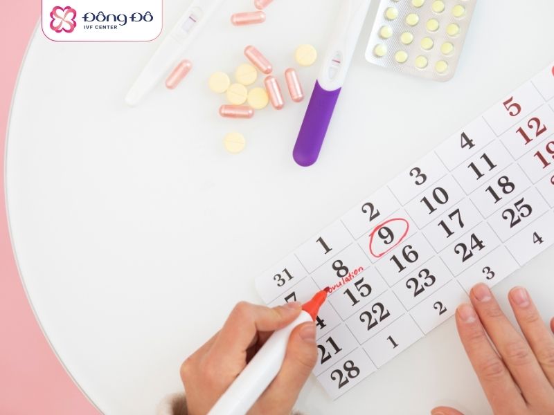Người vợ cần ghi lại ngày chu kỳ kinh trước khi tới thăm khám hiếm muộn