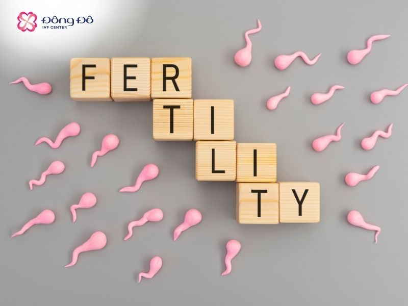 Tinh trùng yếu làm giảm khả năng thụ thai tự nhiên, nhưng có thể khắc phục nhờ IVF