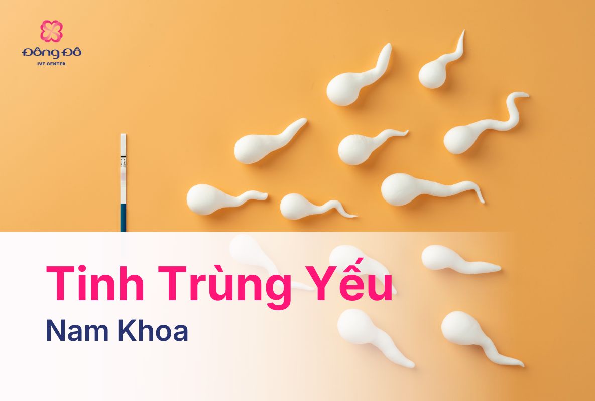 Tinh Trùng Yếu Do Đâu Biểu Hiện Và Cách Điều Trị