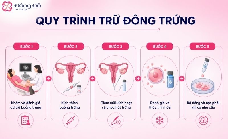 Quy trình trữ đông trứng tại Đông Đô IVF Center