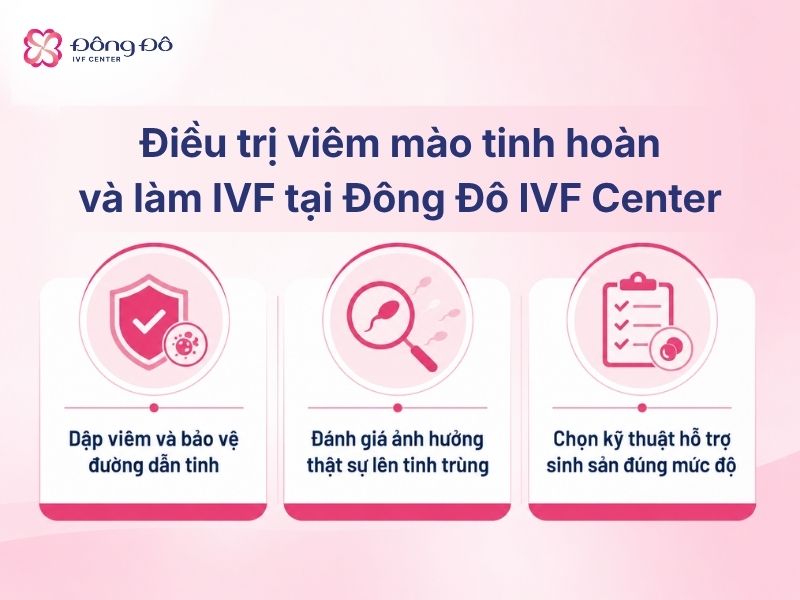 Điều trị viêm mào tinh hoàn và làm IVF tại Đông Đô IVF Center